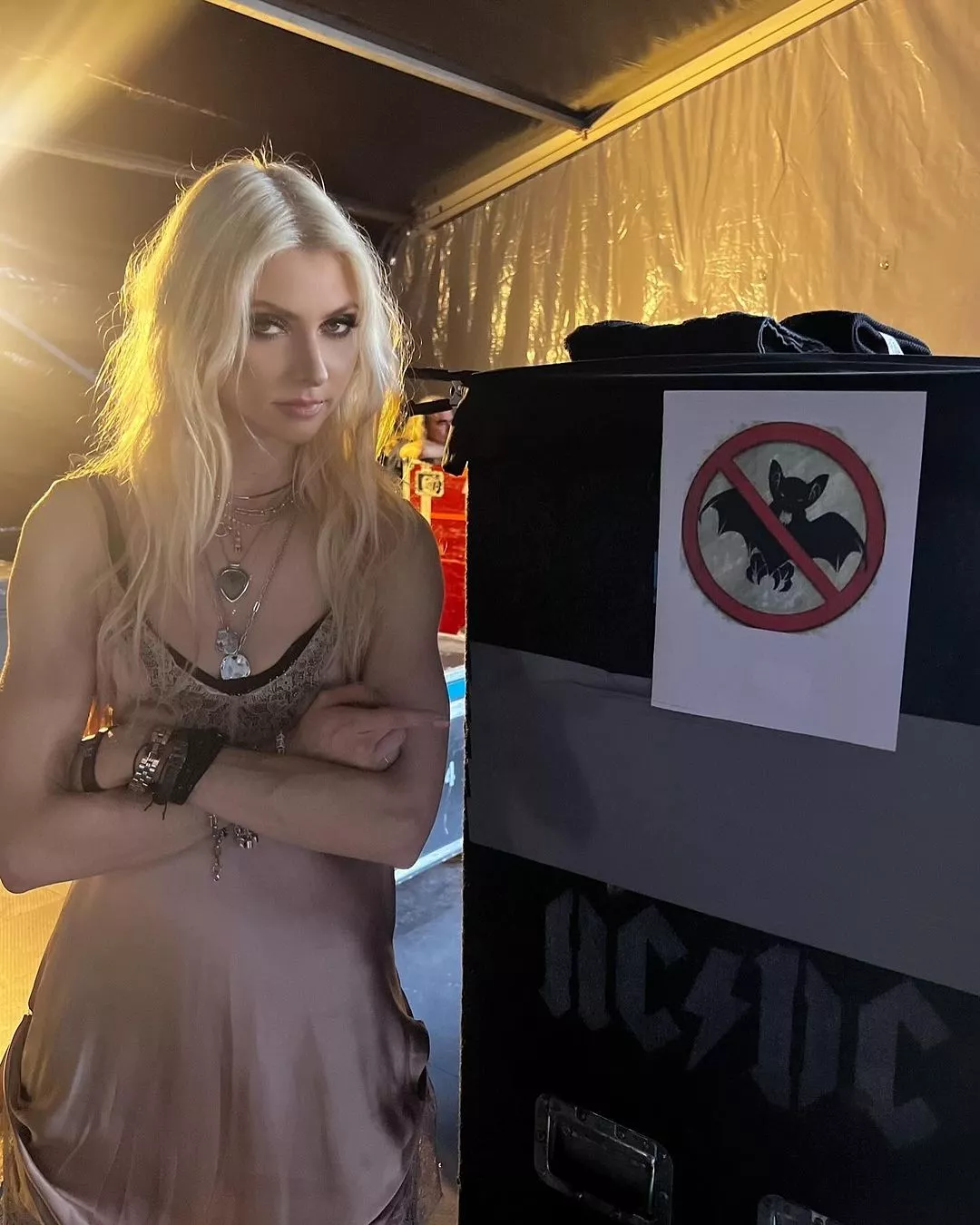 Taylor Momsen (The Pretty Reckless) : en plein concert, elle se fait mordre par une chauve-souris