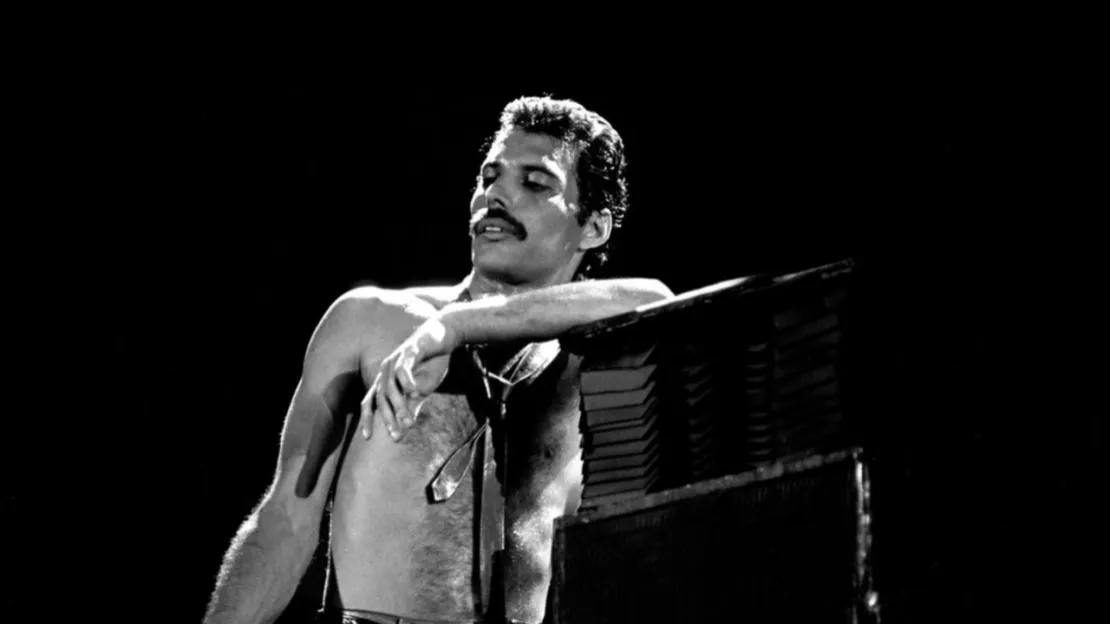 4 anecdotes insolites sur le charismatique Freddy Mercury