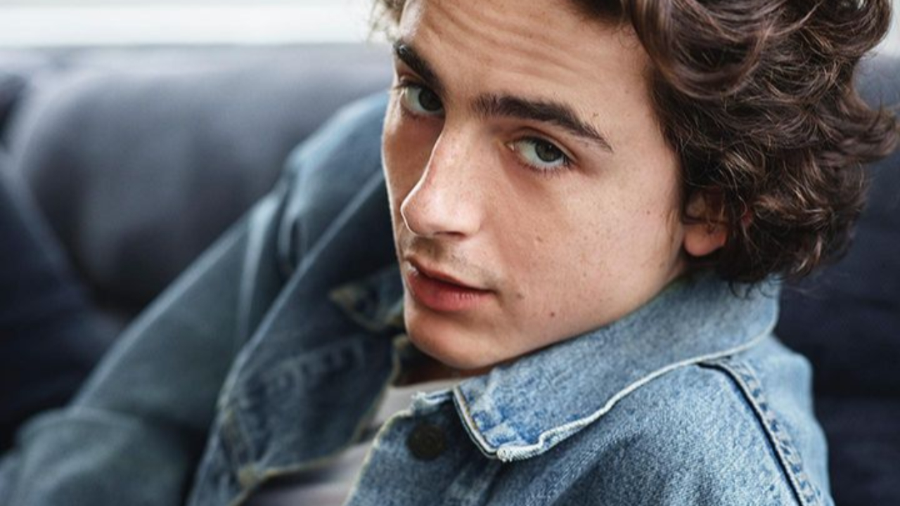 Timothée Chalamet : "Pour le biopic, je pourrais jouer 30 chansons de Bob Dylan"