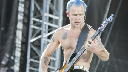 Flea : 5 anecdotes sur le bassiste légendaire des Red Hot Chili Peppers Flea : 5 anecdotes sur le bassiste légendaire des Red Hot Chili Peppers