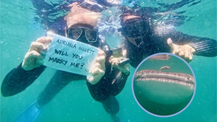 La demande en mariage incroyable de James Hetfield (Metallica) &agrave; sa femme !