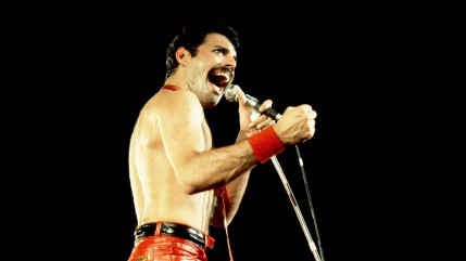 Queen : un concert hommage annul&eacute; &agrave; Orange, une pol&eacute;mique &eacute;clate